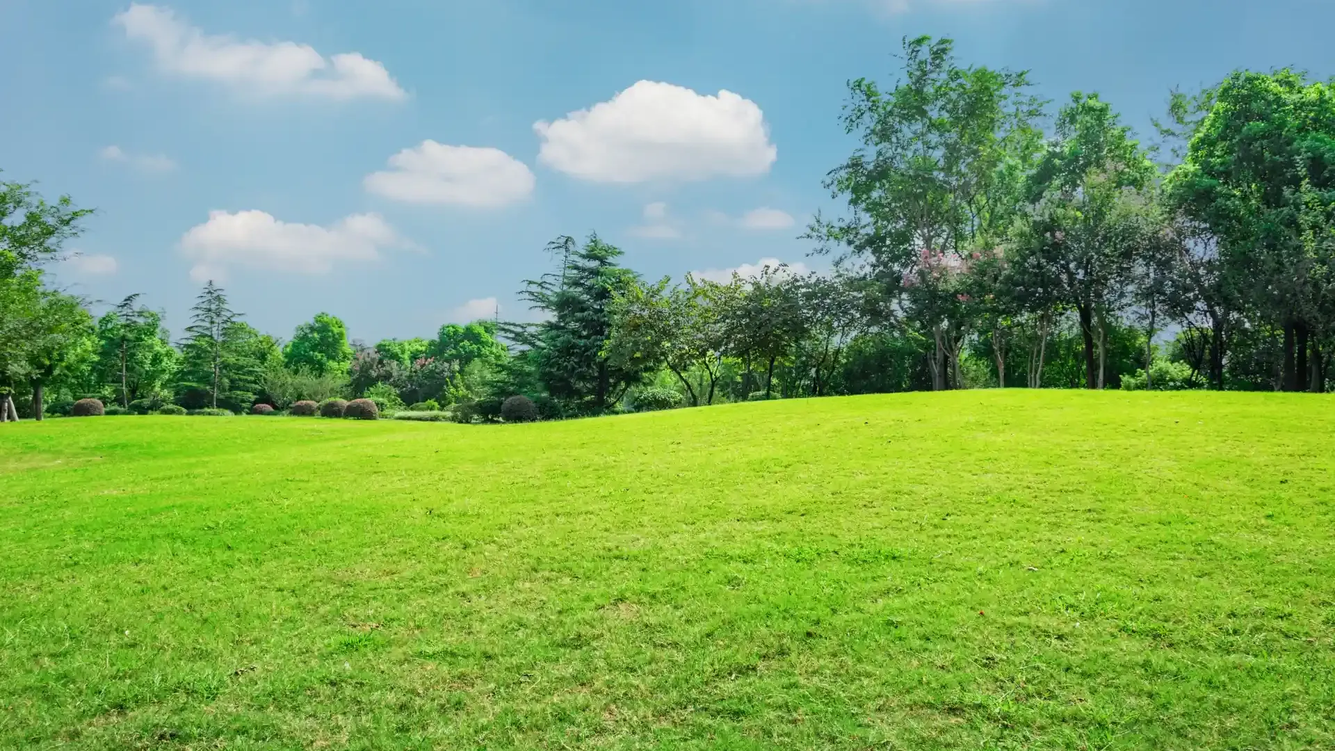 Adverse Possession: Court of Appeal Clarifies Legal Thresholds in Landmark Case