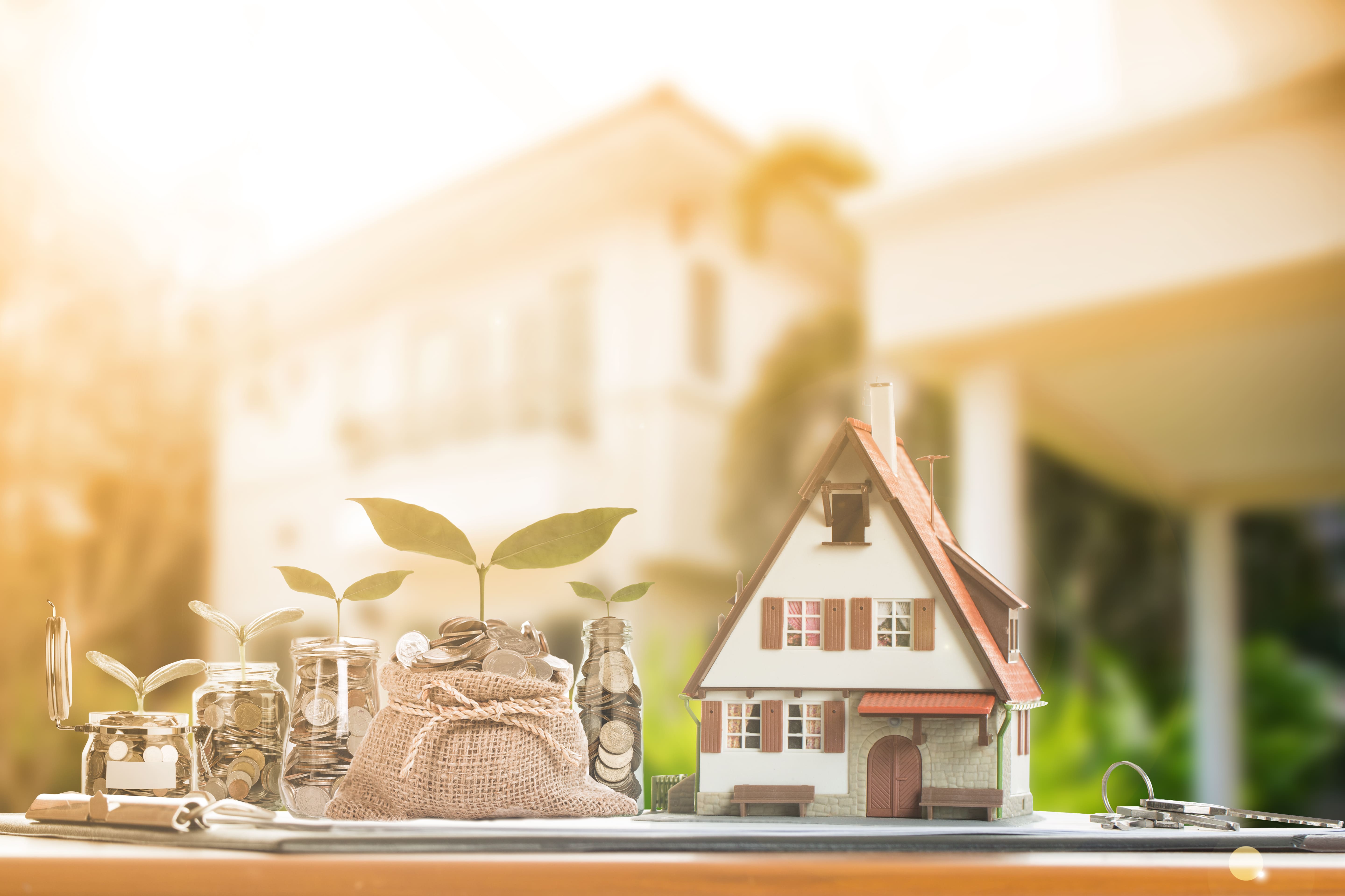 Understanding Limited Grants and their Applicability.