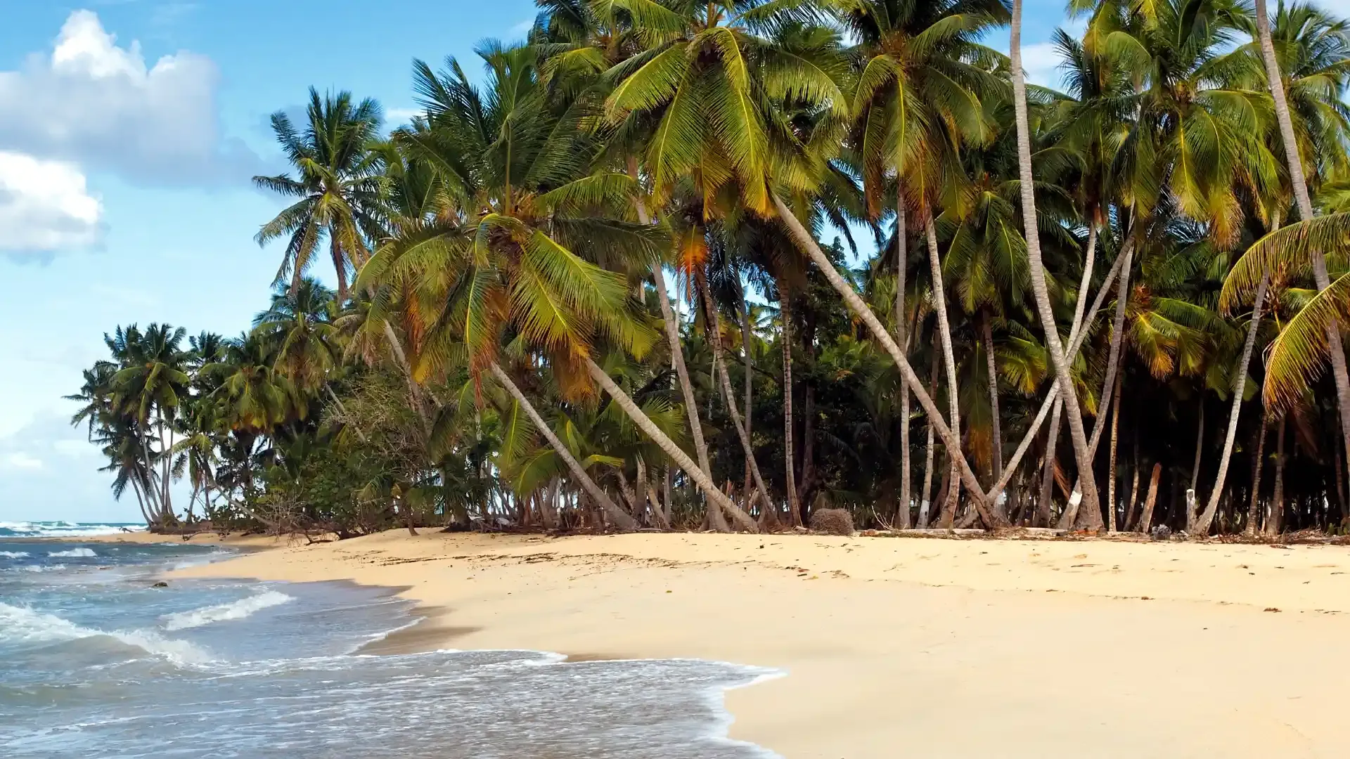 Riparian Land in Kenya: Understanding the Legal Property Boundaries Near Water Bodies for Property Investors and Developers - The Kenyan Coastal Region