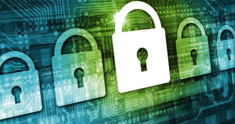 Your Immigration Matters: Why You Need Professional Guidance