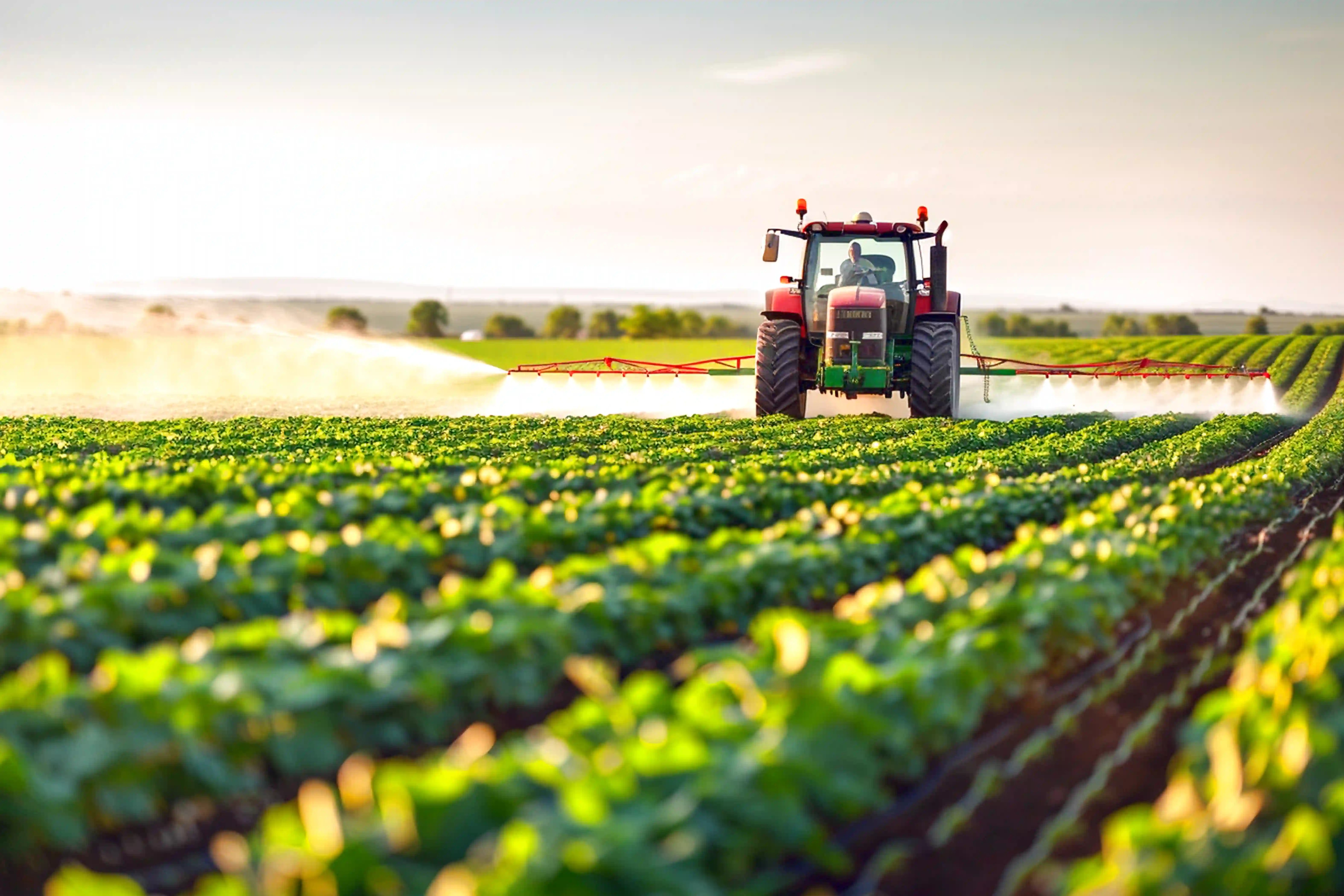 Agriculture, Farm and Estates