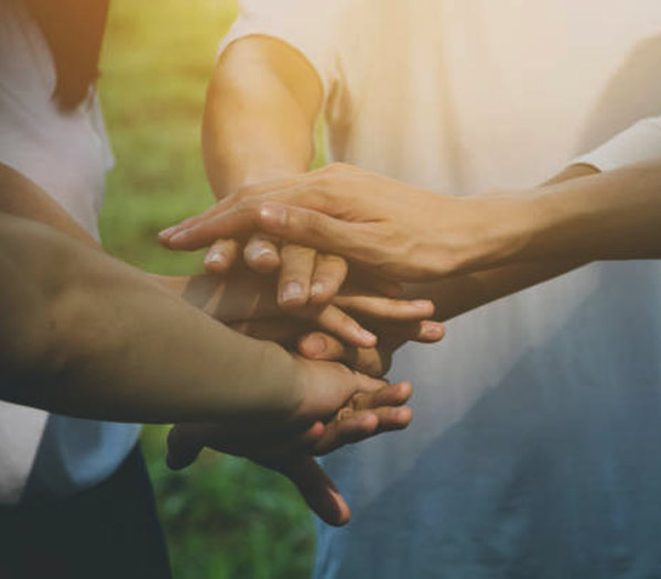 Charities and Social Impact Practice