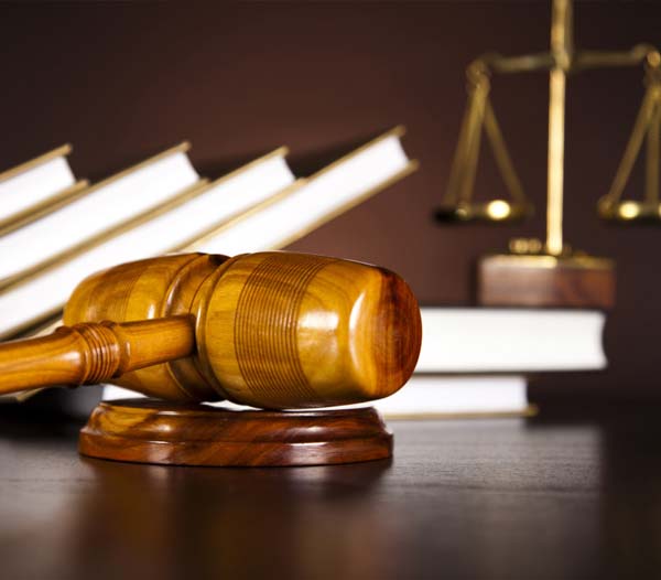 Government Advisory, Public Law & Regulatory Litigation (GAVEL)